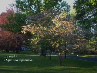 ...e você ? O que está esperando? 