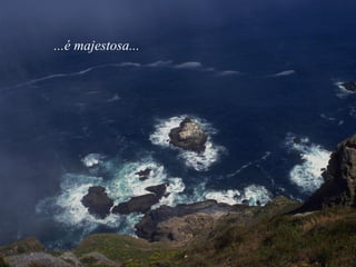 ...é majestosa... 