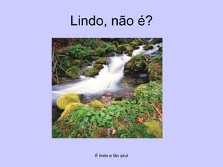 Lindo, não é? É lindo e tão azul 