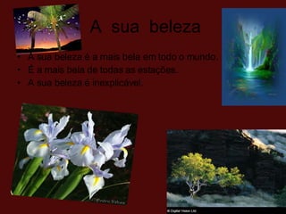 A  sua  beleza A sua beleza é a mais bela em todo o mundo.  É a mais bela de todas as estações.  A sua beleza é inexplicável.  