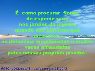 É como procurar flores,
          de espécie rara,
       nos jardins do mundo,
     quando nas estradas que
             passamos,
as deixamos empoeiradas e muitas
         vezes amassadas
  pelas nossas próprias pisadas.
 