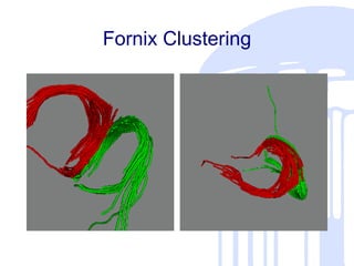 Fornix Clustering 