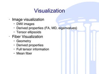 Visualization Image visualization DWI images Derived properties (FA, MD, eigenvalues) Tensor ellipsoids Fiber Visualization Geometry Derived properties Full tensor information Mean fiber 