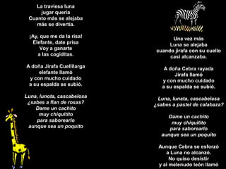 La traviesa luna
jugar quería
Cuanto más se alejaba
más se divertía.
¡Ay, que me da la risa!
Elefante, date prisa
Voy a ganarte
a las cogiditas.
A doña Jirafa Cuellilarga
elefante llamó
y con mucho cuidado
a su espalda se subió.
Luna, lunota, cascabelosa
¿sabes a flan de rosas?
Dame un cachito
muy chiquitito
para saborearlo
aunque sea un poquito
Una vez más
Luna se alejaba
cuando jirafa con su cuello
casi alcanzaba.
A doña Cebra rayada
Jirafa llamó
y con mucho cuidado
a su espalda se subió.
Luna, lunata, cascabelasa
¿sabes a pastel de calabaza?
Dame un cachito
muy chiquitito
para saborearlo
aunque sea un poquito
Aunque Cebra se esforzó
a Luna no alcanzó.
No quiso desistir
y al melenudo león llamó
 