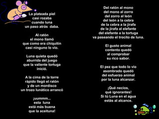 Del ratón al mono
del mono al zorro
del zorro al león
del león a la cebra
de la cebra a la jirafa
de la jirafa al elefante
del elefante a la tortuga
va paseando el trocito de luna.
El gusto animal
contento quedó
al comprobar
su rico sabor.
El pez que todo lo vio
asombrado quedó
del esfuerzo animal
por la luna alcanzar.
¡Qué necios,
qué ignorantes!
Si tú Luna en el agua
estás al alcance.
La plateada piel
casi rozaba
cuando luna
un paso atrás daba.
Al ratón
el mono llamó
que como era chiquitín
casi ninguno lo vio.
Luna quieta quedó
aburrida del juego
que la valiente tortuga
inició.
A la cima de la torre
rápido llegó el ratón
y de un mordisco
un trozo lunático arrancó
¡uummm...
esta luna
está más buena
que la aceituna!
 