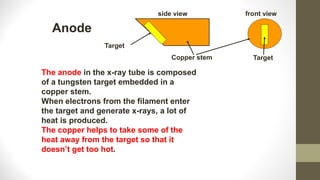 Anode
Copper stem
Target
side view front view
Target
The anode in the x-ray tube is composed
of a tungsten target embedded in a
copper stem.
When electrons from the filament enter
the target and generate x-rays, a lot of
heat is produced.
The copper helps to take some of the
heat away from the target so that it
doesn’t get too hot.
 
