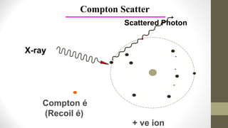 -
-
-
X-ray
+ ve ion
Compton é
(Recoil é)
Compton Scatter
Scattered Photon
 
