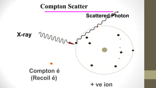 -
-
-
X-ray
+ ve ion
Compton é
(Recoil é)
Compton Scatter
Scattered Photon
 