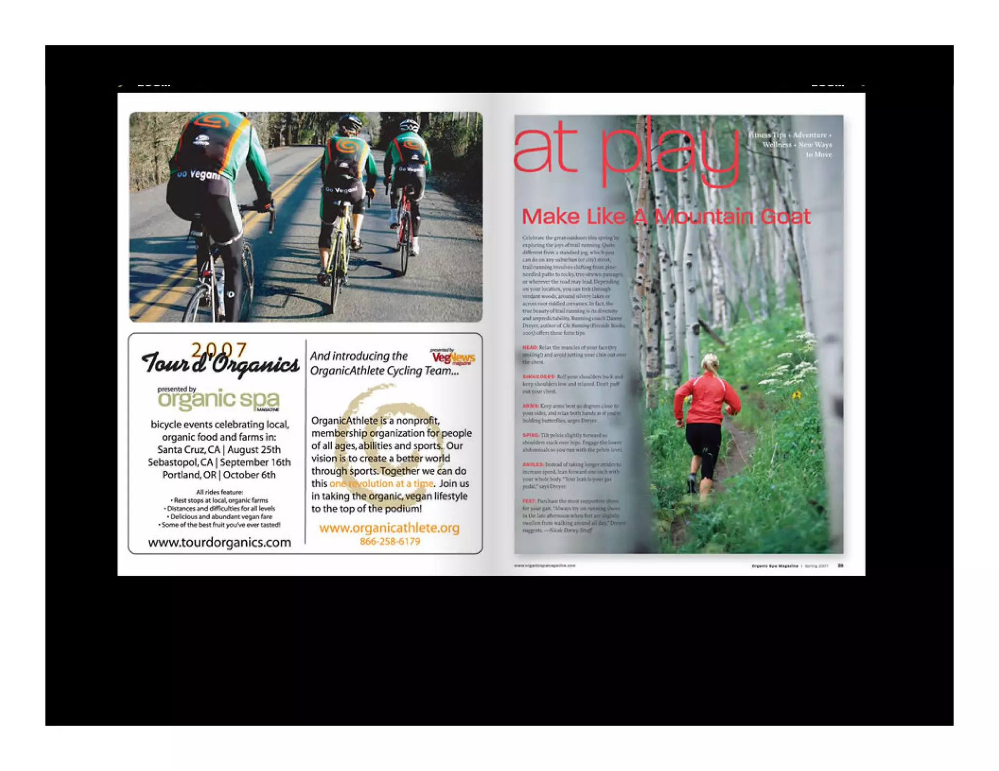 A Reinvenção do Design de uma Revista para o Novo Milênio