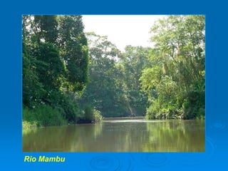 A RelaçãO SimbóLica Homem áGua