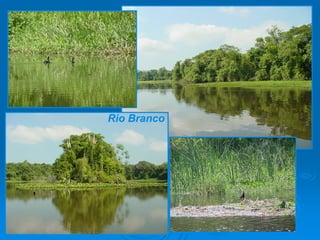 A RelaçãO SimbóLica Homem áGua