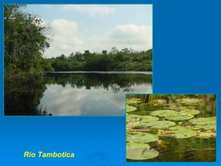 A RelaçãO SimbóLica Homem áGua