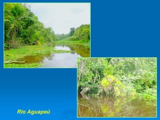 A RelaçãO SimbóLica Homem áGua