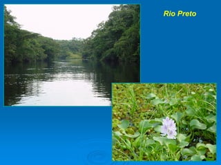 A RelaçãO SimbóLica Homem áGua