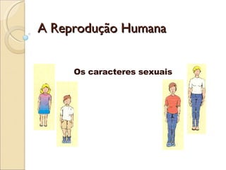 A Reprodução Humana Os caracteres sexuais 