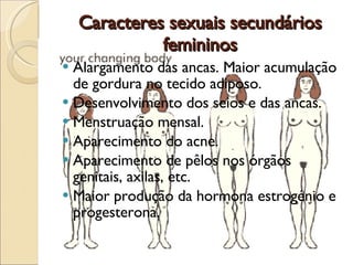 Caracteres sexuais secundários femininos Alargamento das ancas. Maior acumulação de gordura no tecido adiposo.  Desenvolvimento dos seios e das ancas.  Menstruação mensal.  Aparecimento do acne.  Aparecimento de pêlos nos órgãos genitais, axilas, etc.  Maior produção da hormona estrogénio e progesterona. 