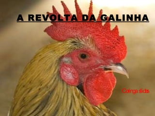 A REVOLTA DA GALINHA Coringa  slides 