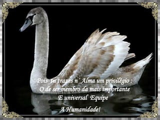 Pois  tu trazes n´ Alma um privilégio : O de ser membro da mais importante E universal  Equipe  A Humanidade! 
