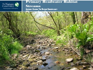 Primary Headwater Habitat
Streams
Anthony Sasson, The Nature Conservancy
OEC Legislative Summit, February 1. 2013
 