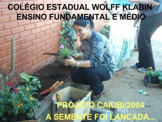 COLÉGIO ESTADUAL WOLFF KLABIN  ENSINO FUNDAMENTAL E MÉDIO PROJETO CAIUBI/2004 A SEMENTE FOI LANCADA... 