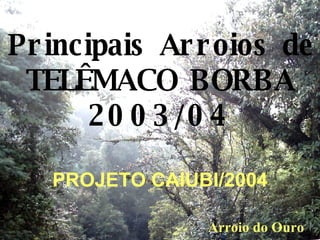 Principais Arroios de TELÊMACO BORBA 2003/04 PROJETO CAIUBI/2004 Arroio do Ouro 
