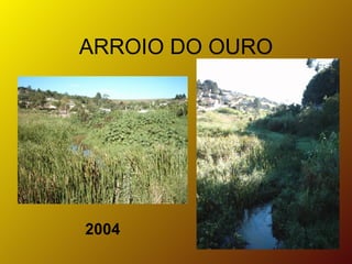 ARROIO DO OURO 2004 