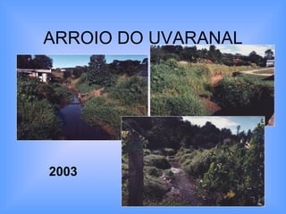 ARROIO DO UVARANAL 2003 