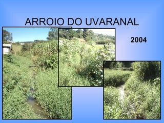 ARROIO DO UVARANAL 2004 