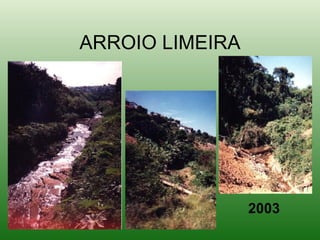ARROIO LIMEIRA 2003 