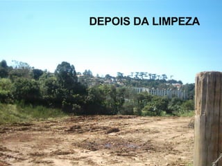 DEPOIS DA LIMPEZA 