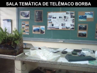SALA TEMÁTICA DE TELÊMACO BORBA 