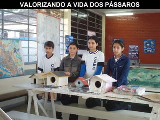 VALORIZANDO A VIDA DOS PÁSSAROS 