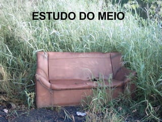 ESTUDO DO MEIO 