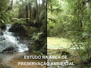 ESTUDO NA ÁREA DE  PRESERVAÇÃO AMBIENTAL 