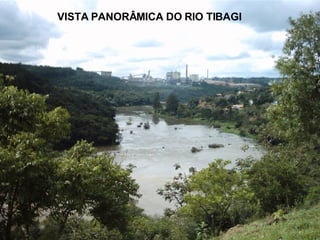 VISTA PANORÂMICA DO RIO TIBAGI 