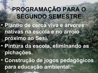 PROGRAMAÇÃO PARA O SEGUNDO SEMESTRE Plantio de cerca viva e árvores nativas na escola e no arroio próximo ao Sesi. Pintura da escola, eliminando as pichações. Construção de jogos pedagógicos para educação ambiental. 