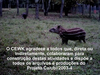O CEWK agradece a todos que, direta ou indiretamente, colaboraram para construção destas atividades e dispõe a todos os arquivos e produções do  Projeto Caiubi/2003-4 