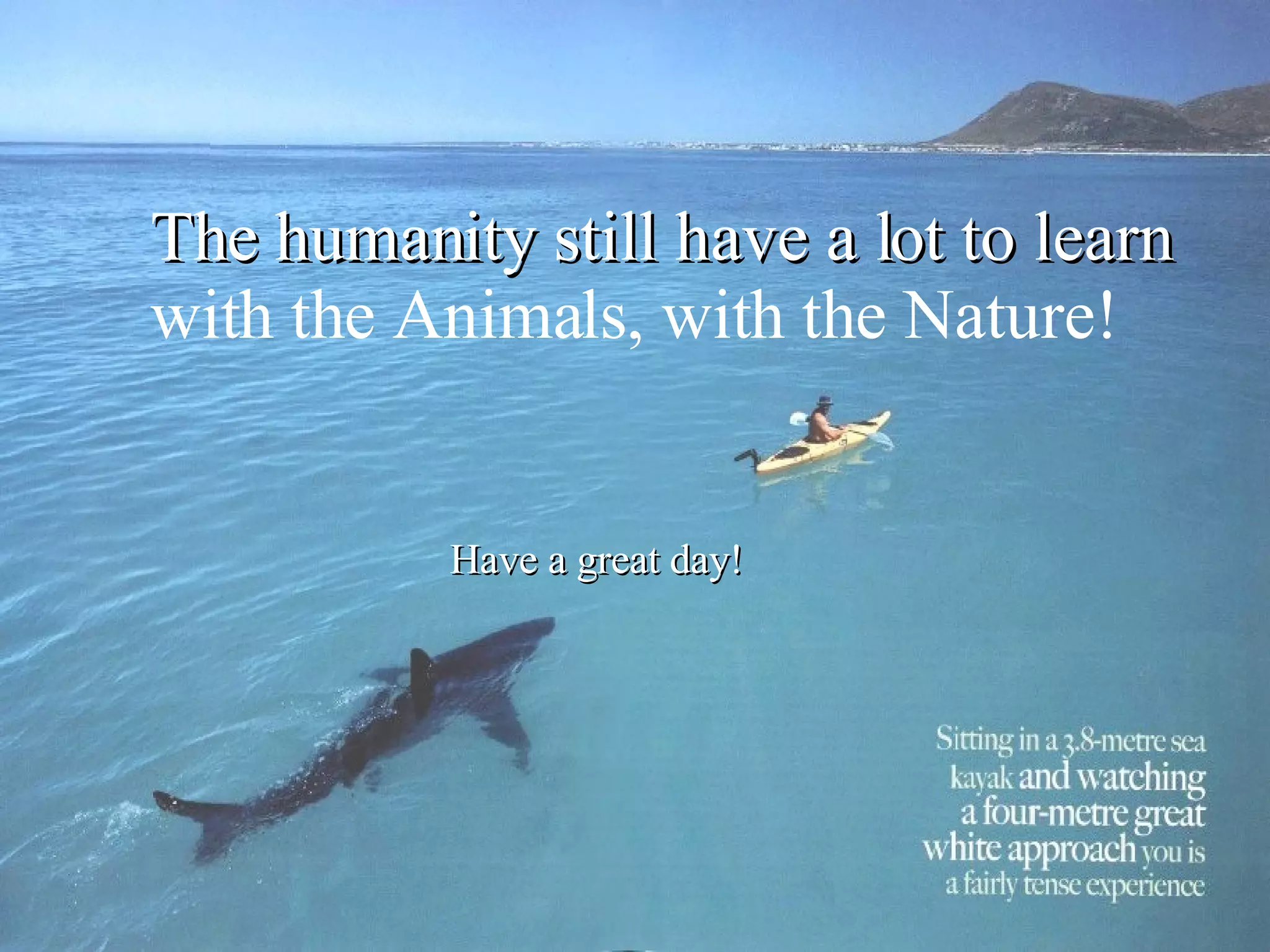 The humanity still have a lot to learn with the Animals, with the Nature! Have a great day! 