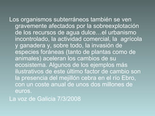 Los organismos subterráneos también se ven gravemente afectados por la sobreexplotación de los recursos de agua dulce…el urbanismo incontrolado, la actividad comercial, la  agrícola y ganadera y, sobre todo, la invasión de especies foráneas (tanto de plantas como de animales) aceleran los cambios de su ecosistema. Algunos de los ejemplos más ilustrativos de este último factor de cambio son la presencia del mejillón cebra en el río Ebro, con un coste anual de unos dos millones de euros.  La voz de Galicia 7/3/2008 