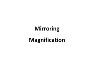 Mirroring Magnification 