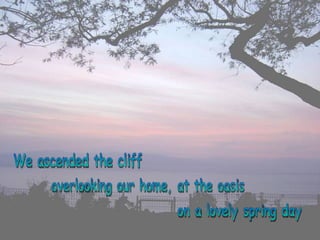 We ascended the cliff overlooking our home, at the oasis on a lovely spring day  