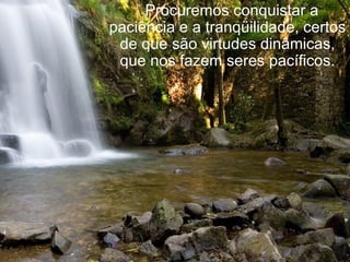    Procuremos conquistar a paciência e a tranqüilidade, certos de que são virtudes dinâmicas, que nos fazem seres pacíficos. 