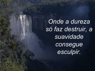 Onde a dureza só faz destruir, a suavidade consegue esculpir. 