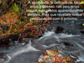   A suavidade, a delicadeza, são o amor expresso nas pequenas coisas, nos gestos aparentemente simples, mas que revelam nossa preocupação com o próximo.  
