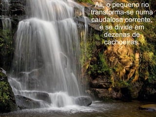 Ali, o pequeno rio transforma-se numa caudalosa corrente, e se divide em dezenas de cachoeiras. 