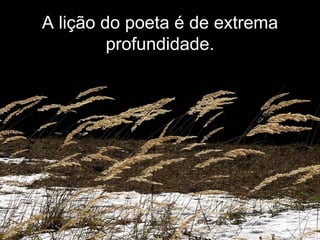 A lição do poeta é de extrema profundidade. 