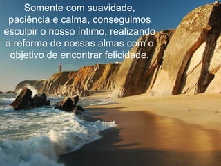 Somente com suavidade, paciência e calma, conseguimos esculpir o nosso íntimo, realizando a reforma de nossas almas com o objetivo de encontrar felicidade. 