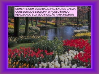 SOMENTE COM SUAVIDADE, PACIÊNCIA E CALMA,
CONSEGUIMOS ESCULPIR O NOSSO MUNDO,
REALIZANDO SUA MODIFICAÇÃO PARA MELHOR.
 