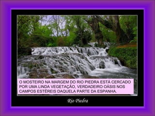 O MOSTEIRO NA MARGEM DO RIO PIEDRA ESTÁ CERCADO
POR UMA LINDA VEGETAÇÃO, VERDADEIRO OÁSIS NOS
CAMPOS ESTÉREIS DAQUELA PARTE DA ESPANHA.
 