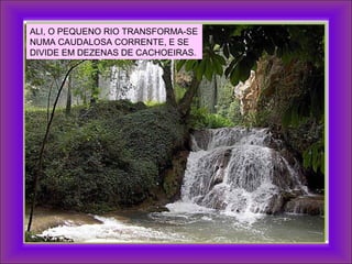 ALI, O PEQUENO RIO TRANSFORMA-SE
NUMA CAUDALOSA CORRENTE, E SE
DIVIDE EM DEZENAS DE CACHOEIRAS.
 